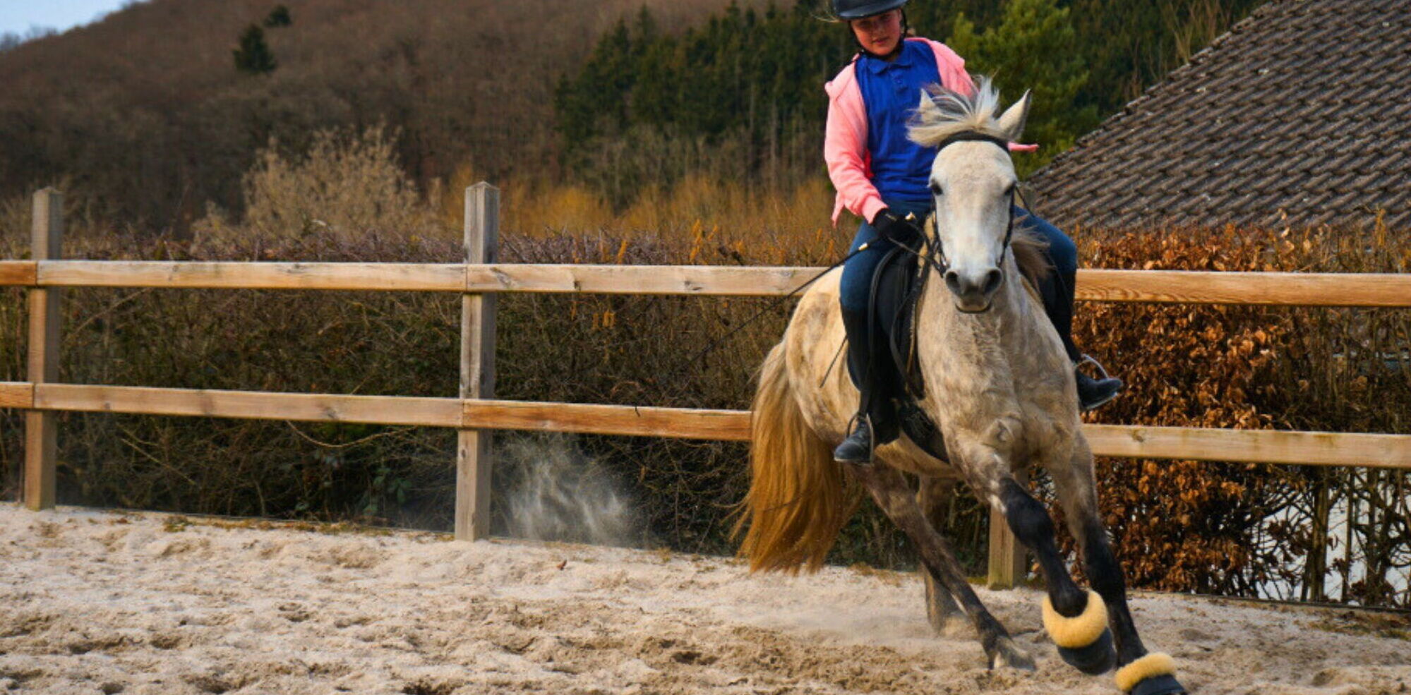 Training auf unserem Reitplatz Ein Reiter galoppiert mit einem Pferd auf dem Reitplatz des Landgut Pfauenhof in der Eifel