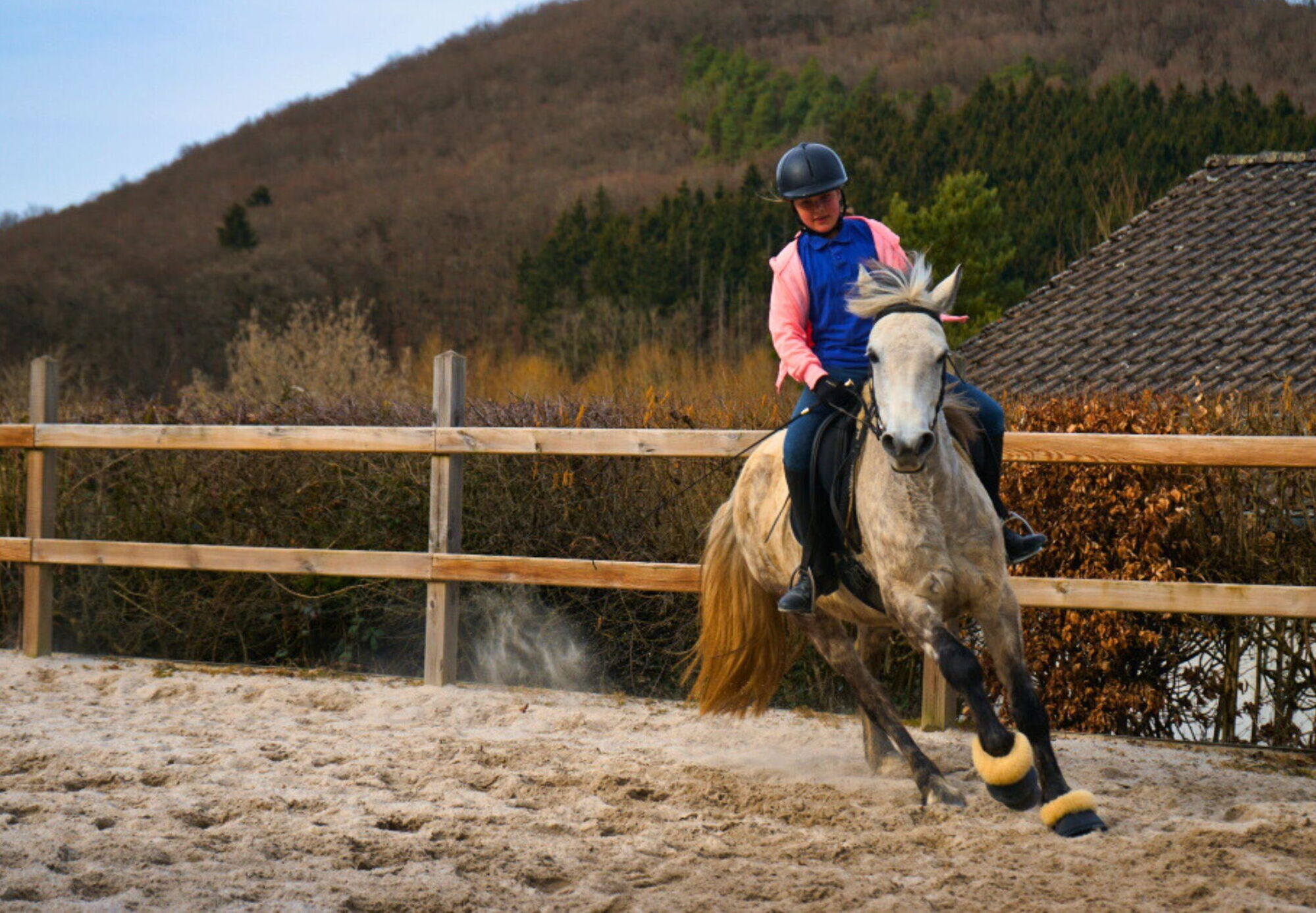 Ein Reiter galoppiert mit einem Pferd auf dem Reitplatz des Landgut Pfauenhof in der Eifel