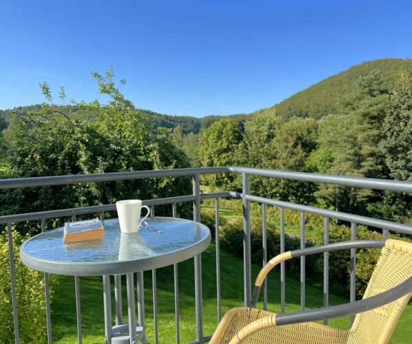 Gemütlicher Sitzplatz einer Ferienwohnung mit Blick in das Grüne auf dem Landgut Pfauenhof in der Eifel