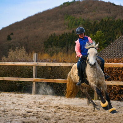 Ein Reiter galoppiert mit einem Pferd auf dem Reitplatz des Landgut Pfauenhof in der Eifel