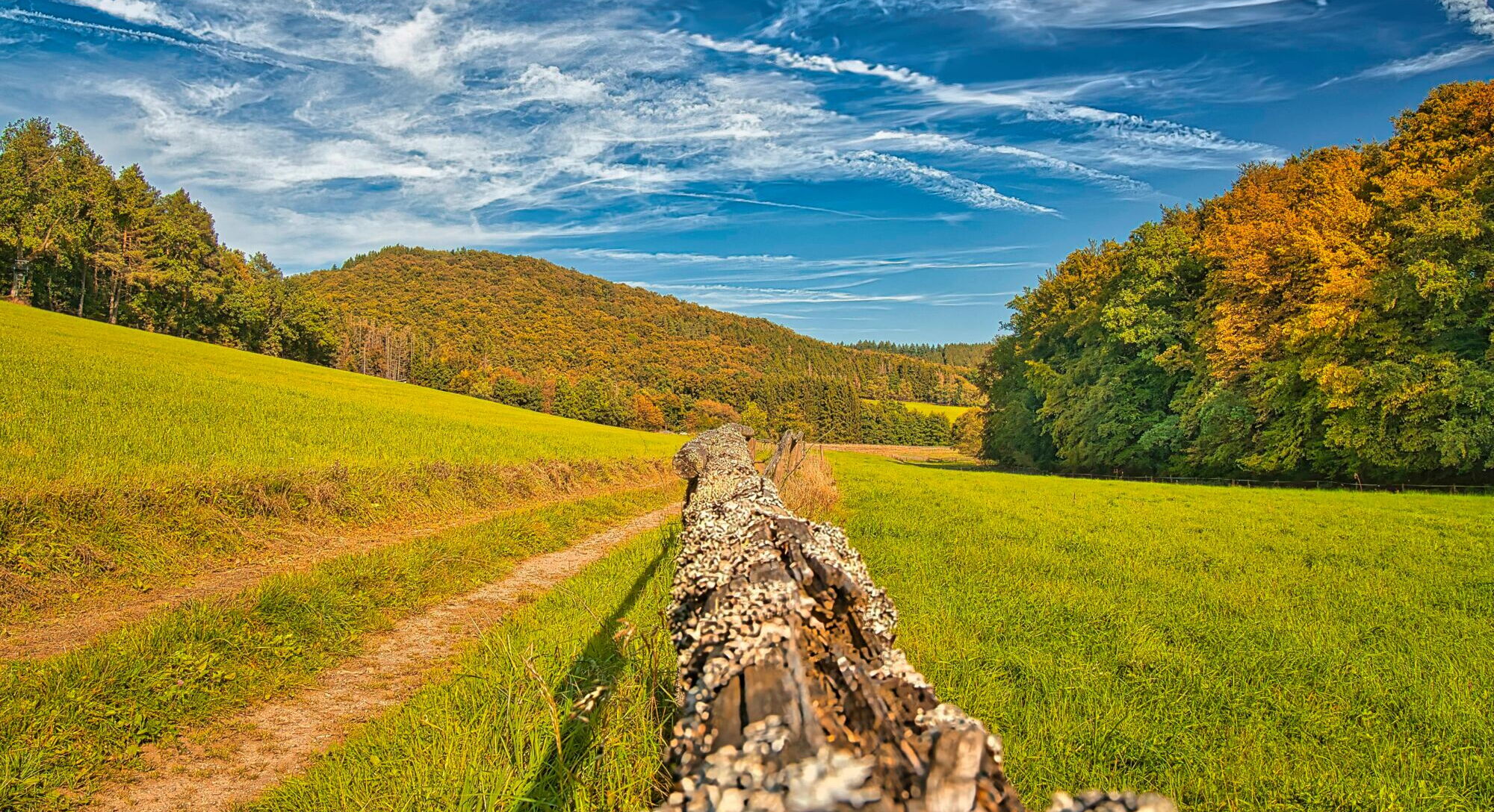 Blick auf den Humerich im Herbst auf dem Landgut Pfauenhof in der Eifel