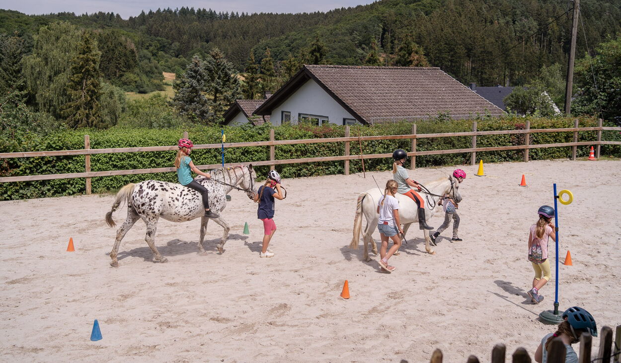 Reiten für Erwachsene und Kinder in der Eifel auf dem Landgut Pfauenhof