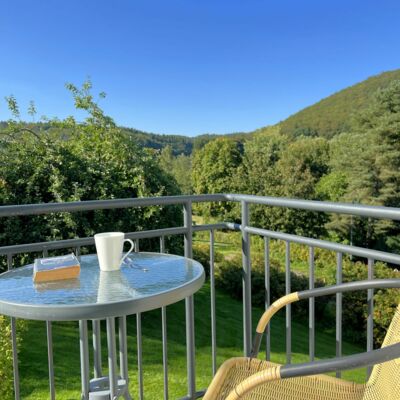 Gemütlicher Sitzplatz einer Ferienwohnung mit Blick in das Grüne auf dem Landgut Pfauenhof in der Eifel