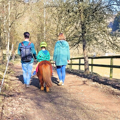 Ponyreiten auf Foxy mit der ganzen Familie auf dem Landgut Pfauenhof in der Vulkaneifel