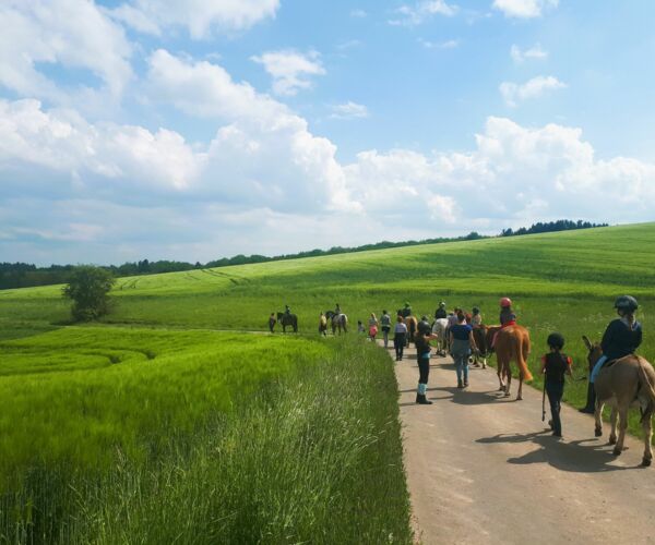 Pferde, Pferdewanderung, Eifel, Landgut Pfauenhof