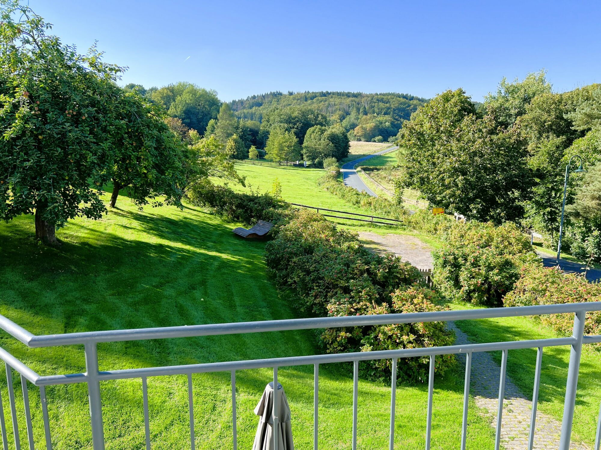 Ausblick vom Balkon der Ferienwohnung Wiesental in das Wiesental mit den Pferdekoppeln  auf dem Landgut Pfauenhof in der Eifel.