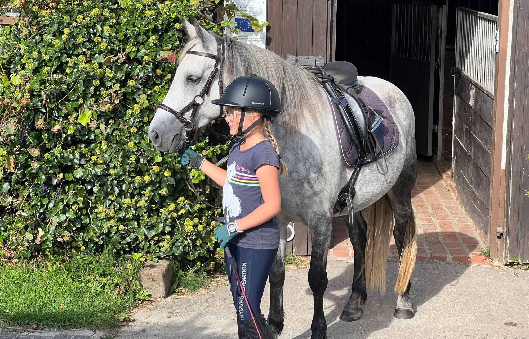 Reiten für Erwachsene und Kinder in der Eifel auf dem Landgut Pfauenhof