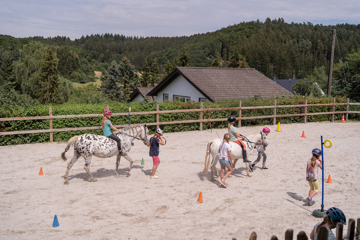 Reiten für Erwachsene und Kinder in der Eifel auf dem Landgut Pfauenhof