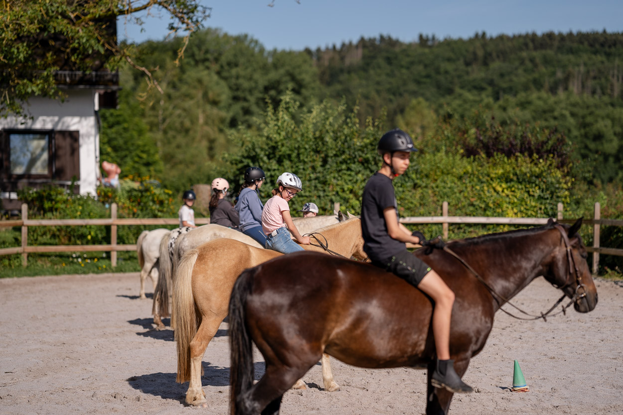 Reiten für Erwachsene und Kinder in der Eifel auf dem Landgut Pfauenhof