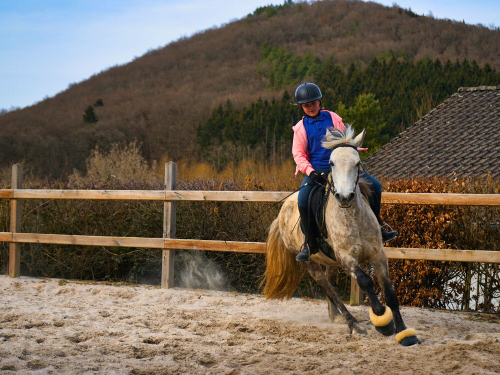 Ein Reiter galoppiert mit einem Pferd auf dem Reitplatz des Landgut Pfauenhof in der Eifel