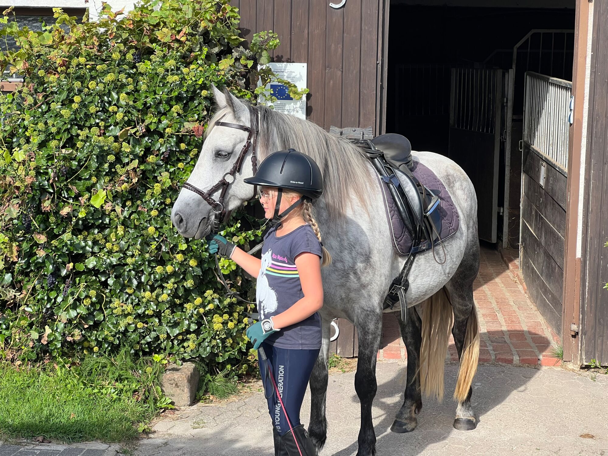 Reiten für Erwachsene und Kinder in der Eifel auf dem Landgut Pfauenhof