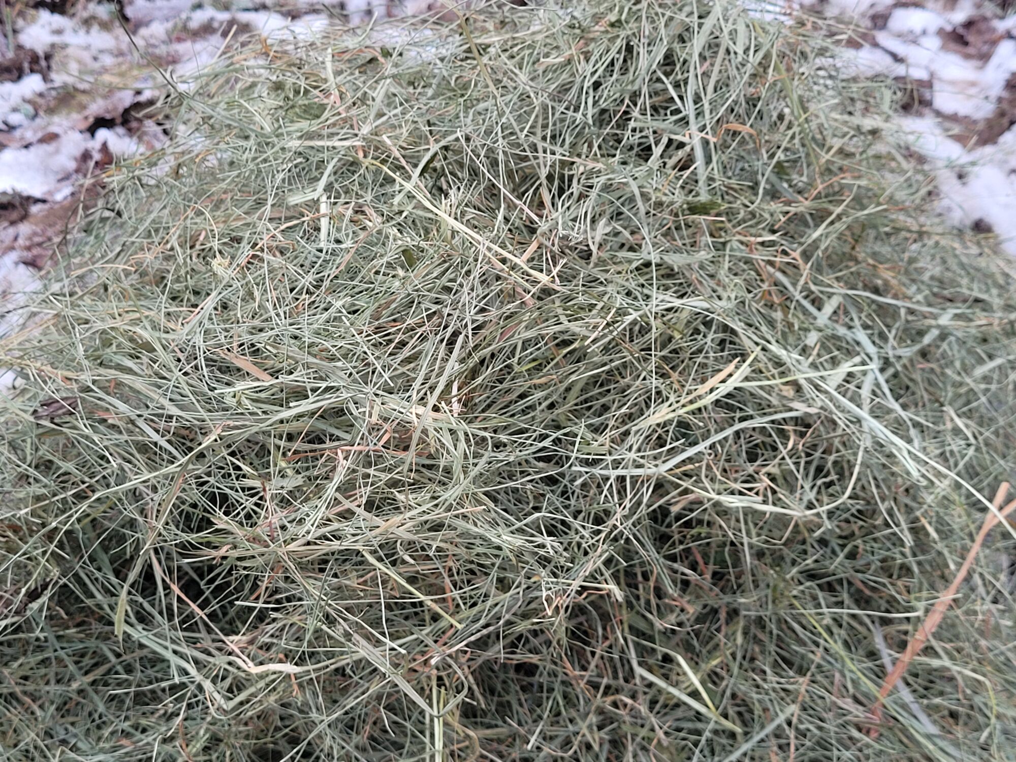 Bio-Heulage für Galloway Rinder auf dem Landgut Pfauenhof in der Eifel